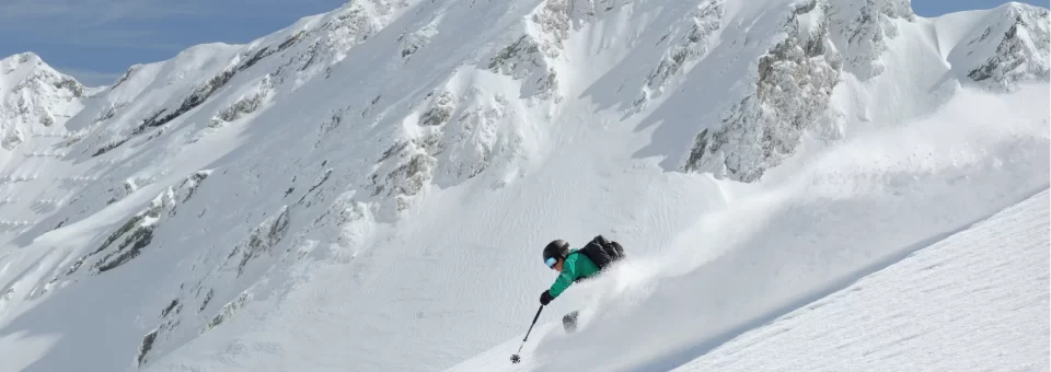 Skijaš